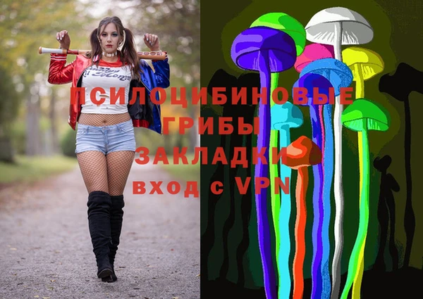 2c-b Арсеньев