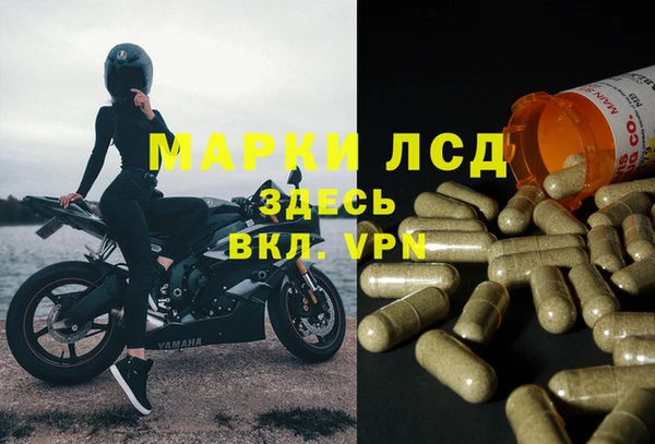 каннабис Аркадак