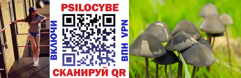 Псилоцибиновые грибы прущие грибы  MEGA ССЫЛКА  Мичуринск 